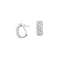 Accented Clip Earrings