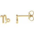 Zodiac Earrings