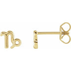Zodiac Earrings