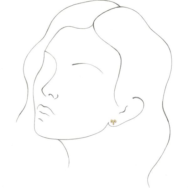 Zodiac Earrings - Image 4