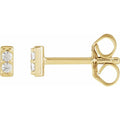 Accented Bar Earrings