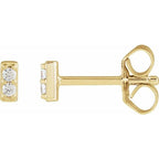 Accented Bar Earrings