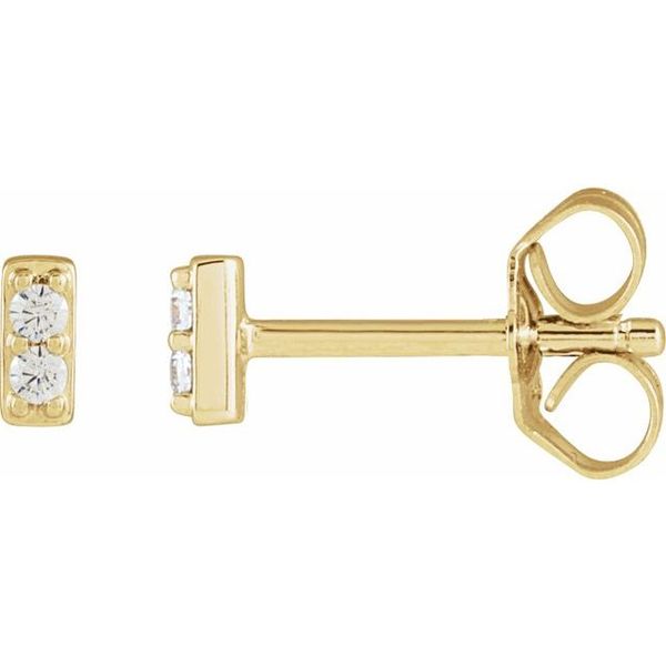 Accented Bar Earrings