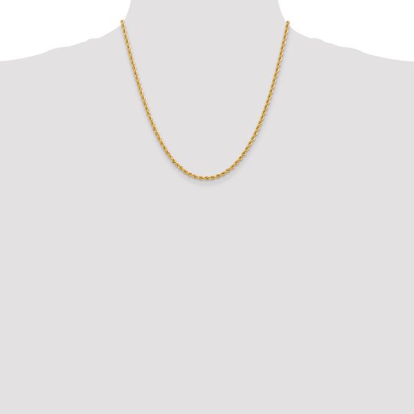 Leslie's 14K 2.75mm Solid Regular Rope Chain - Image 4