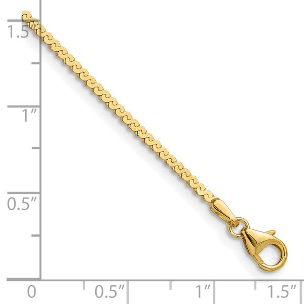 Leslie's 14K 1.55mm Serpentine Chain - Image 2