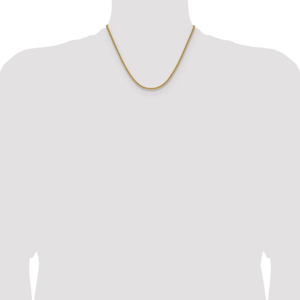 Leslie's 14K 2.8mm Spiga Chain - Image 4