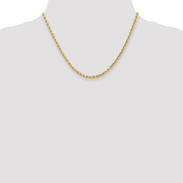 Leslie's 10K 3mm Diamond-Cut Rope Chain - Image 4