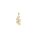 Star Pendant