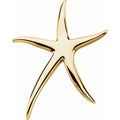 Starfish Brooch/Pendant