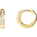 Accented Hoop Earrings