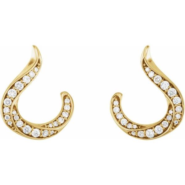 Accented Freeform Earrings - Image 2