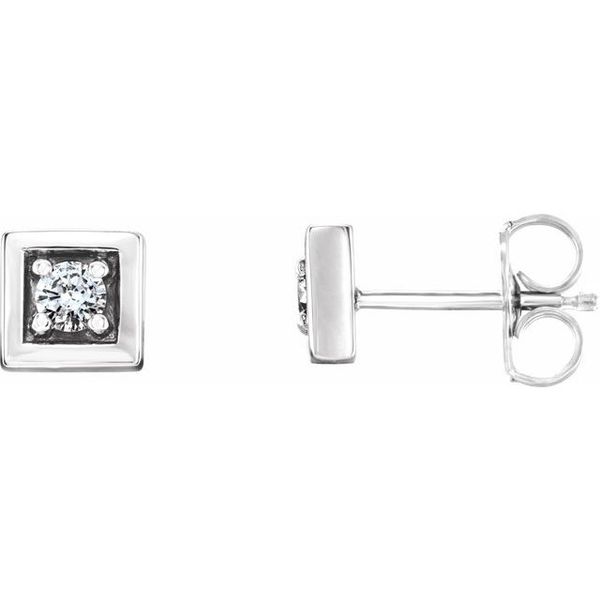Accented Earrings