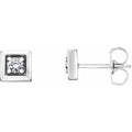 Accented Earrings