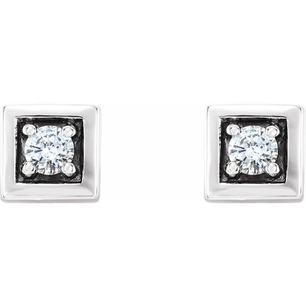 Accented Earrings - Image 2