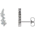 Accented Ear Climbers