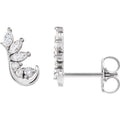 Accented Ear Climbers