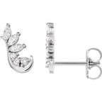 Accented Ear Climbers