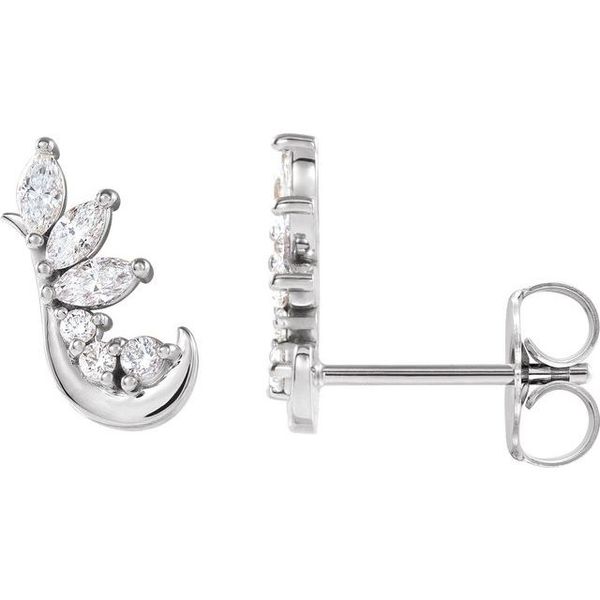 Accented Ear Climbers