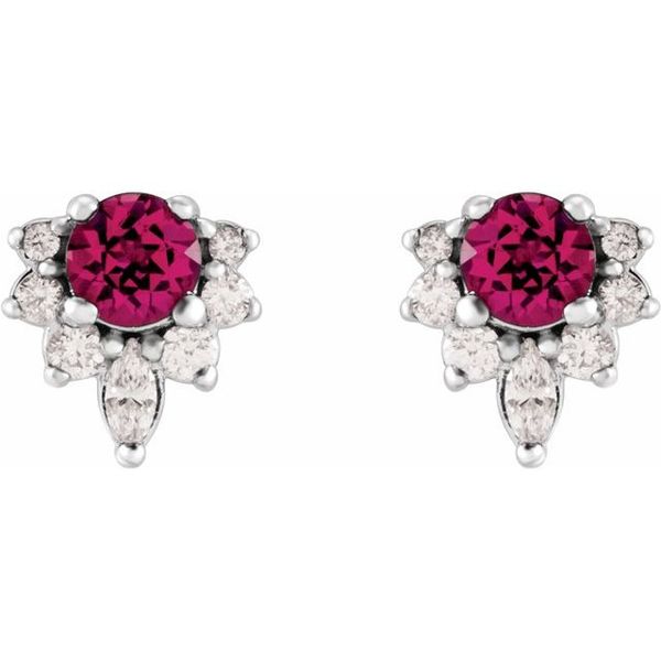 Accented Earrings - Image 2