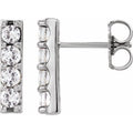 Accented Bar Earrings
