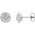 French-Set Halo-Style Earrings