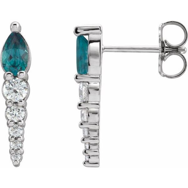 Accented Bar Earrings