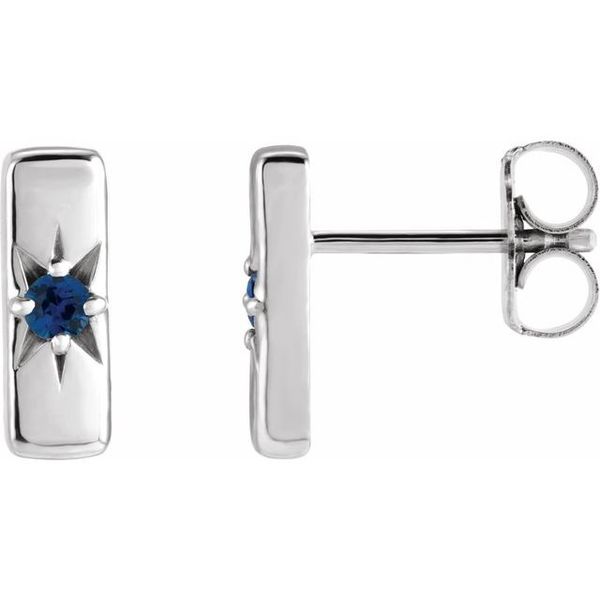 Accented Bar Earrings