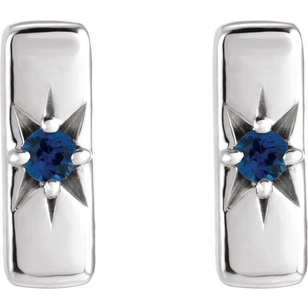 Accented Bar Earrings - Image 2