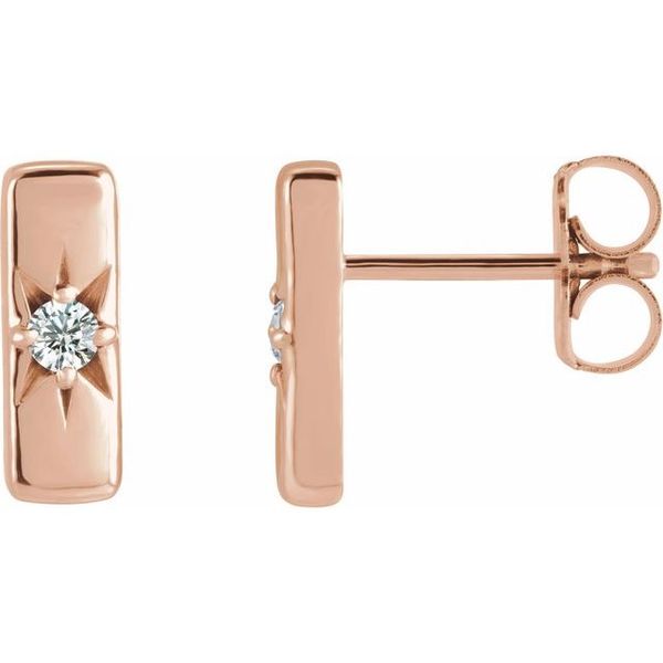 Accented Bar Earrings