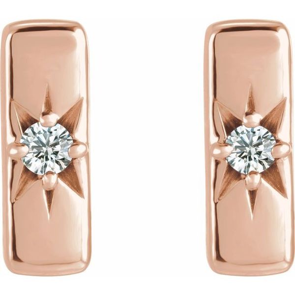 Accented Bar Earrings - Image 2
