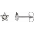 Accented Star Earrings