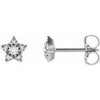 Accented Star Earrings