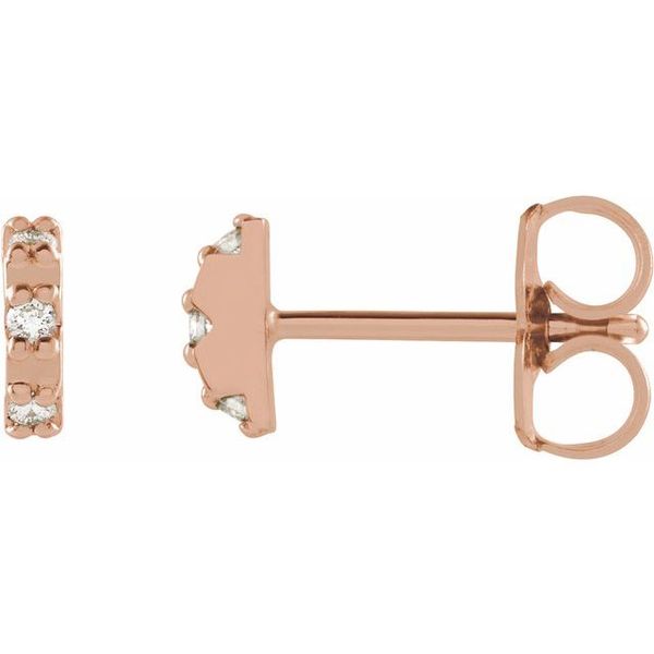 Accented Earrings