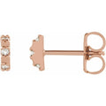 Accented Earrings