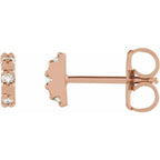 Accented Earrings