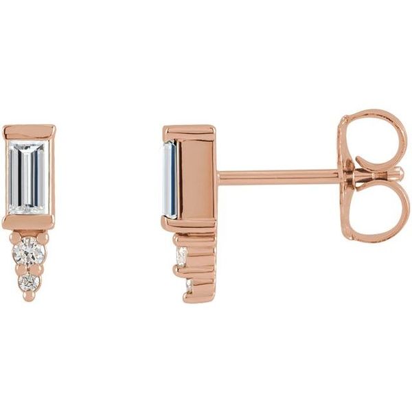 Accented Bar Earrings