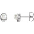 Accented Pearl Earrings
