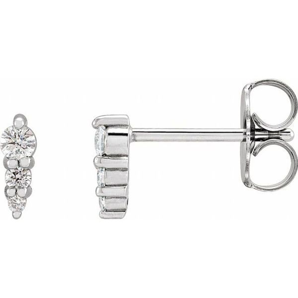 Graduated Bar Earrings