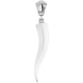 Italian Horn Pendant