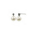 14KT White Gold Akoya Pearl Earring