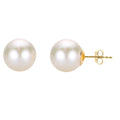 14KT Yellow Gold Freshwater Pearl Earring