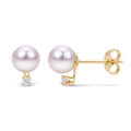 14KT Yellow Gold Akoya Pearl Earring