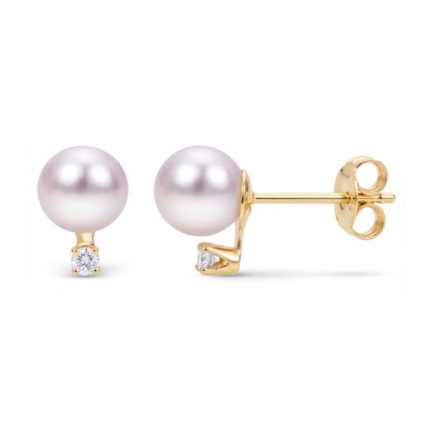 14KT Yellow Gold Akoya Pearl Earring