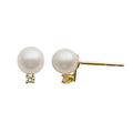 14KT Yellow Gold Akoya Pearl Earring