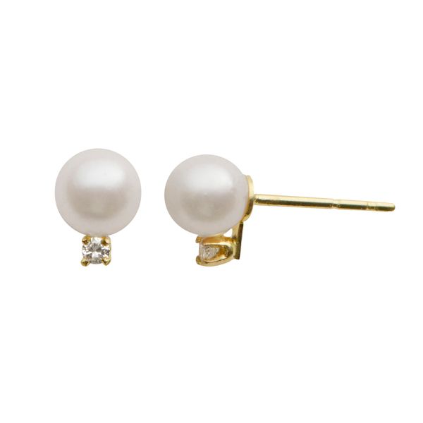 14KT Yellow Gold Akoya Pearl Earring