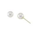 18KT Yellow Gold Akoya Pearl Earring