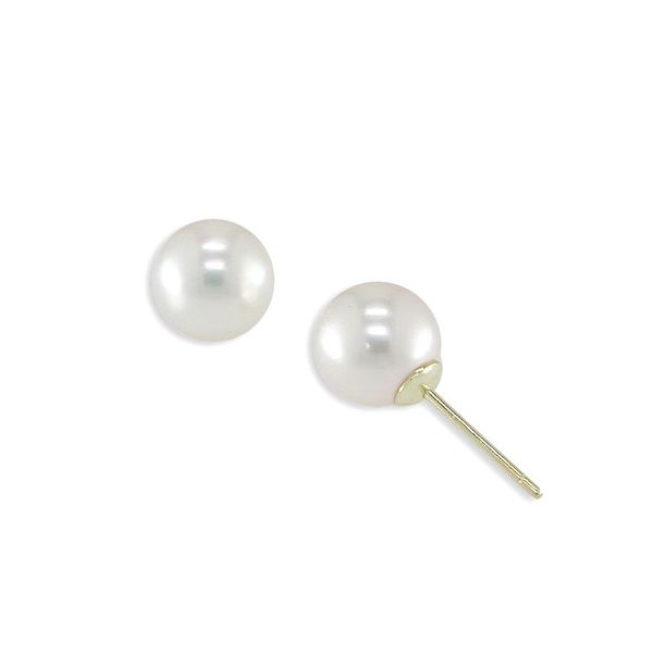 18KT Yellow Gold Akoya Pearl Earring