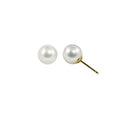 18KT Yellow Gold Akoya Pearl Earring