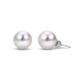 14KT Gold Freshwater Pearl Stud Earrings