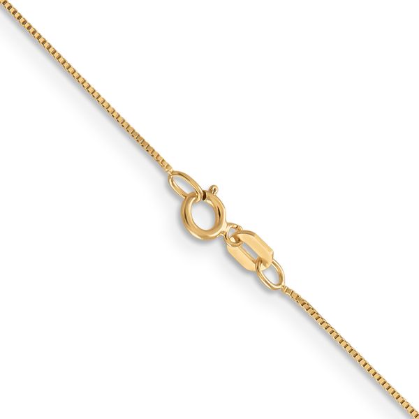 Leslie's 14K .5mm Baby Box with Spring Ring Clasp Chain - Image 3